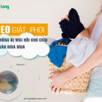 5 mẹo giặt, phơi quần áo không bị mùi hôi khó chịu vào mùa mưa