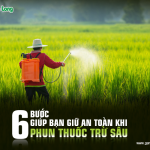 6 bước giúp bạn giữ an toàn khi phun thuốc trừ sâu