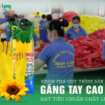 Quy trình sản xuất găng tay cao su đạt tiêu chuẩn chất lượng