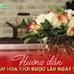 Hướng dẫn cách cắm hoa tươi được lâu ngày Tết