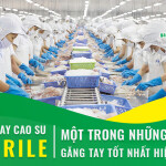 Găng tay cao su Nitrile – Một trong những loại găng tay tốt nhất hiện nay