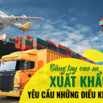 Găng tay cao su xuất khẩu yêu cầu những điều kiện gì?