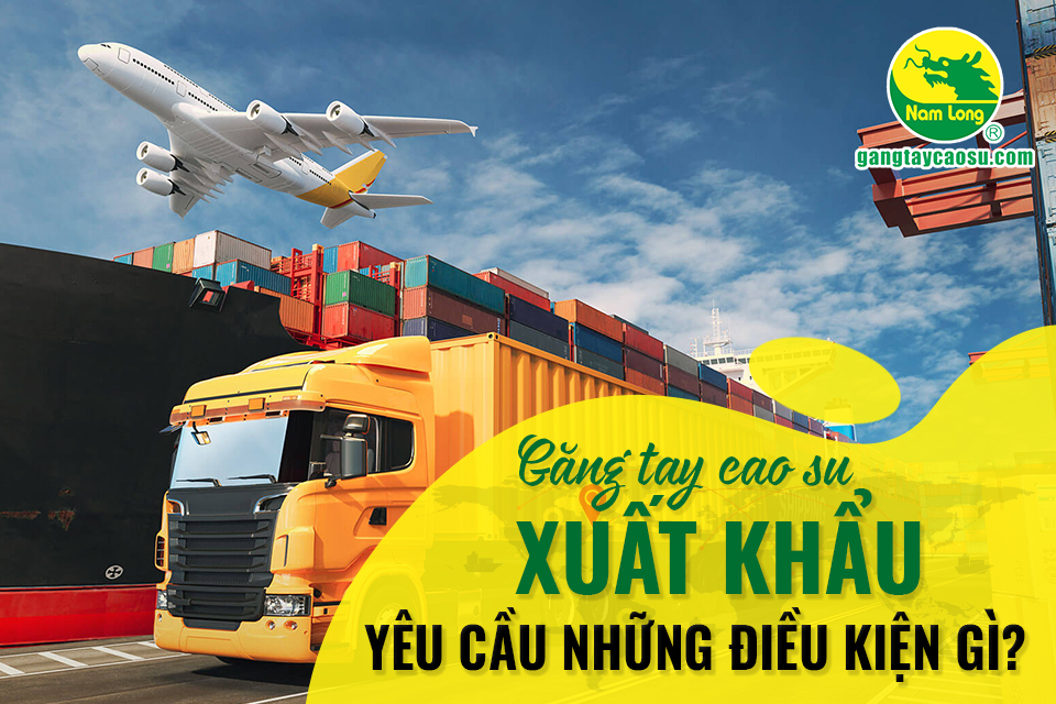 Găng tay cao su xuất khẩu yêu cầu những điều kiện gì?