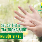 Những điều cần biết về găng tay trong suốt không bột Vinyl