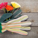 Găng tay làm vườn và những tiêu chí lựa chọn