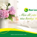 Cách khử mùi hôi nhà bếp ai cũng cần biết