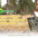 Ổn định thị trường nguyên liệu cao su cung cấp cho xuất khẩu